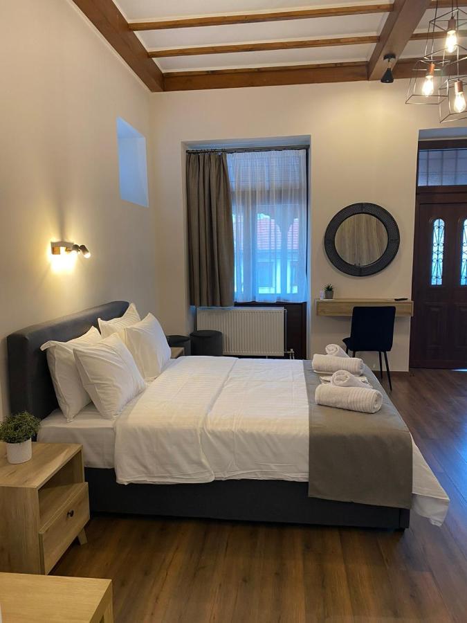 11 Luxury Apartments Metsovo Exteriér fotografie